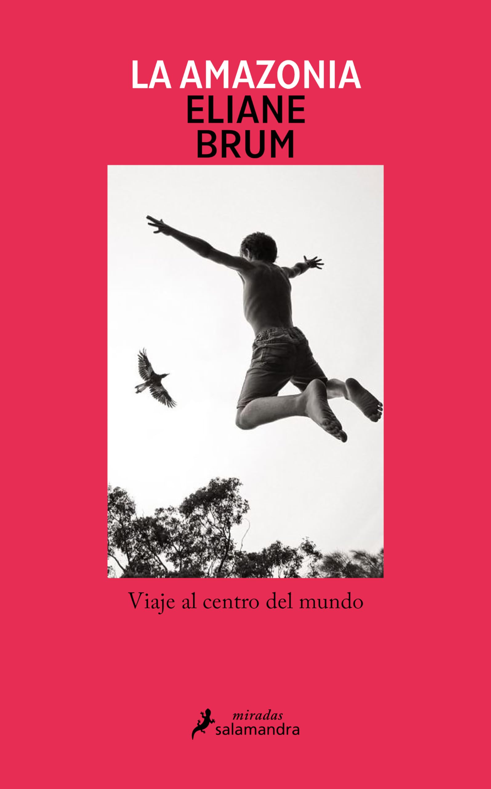 cover of the book reviewed